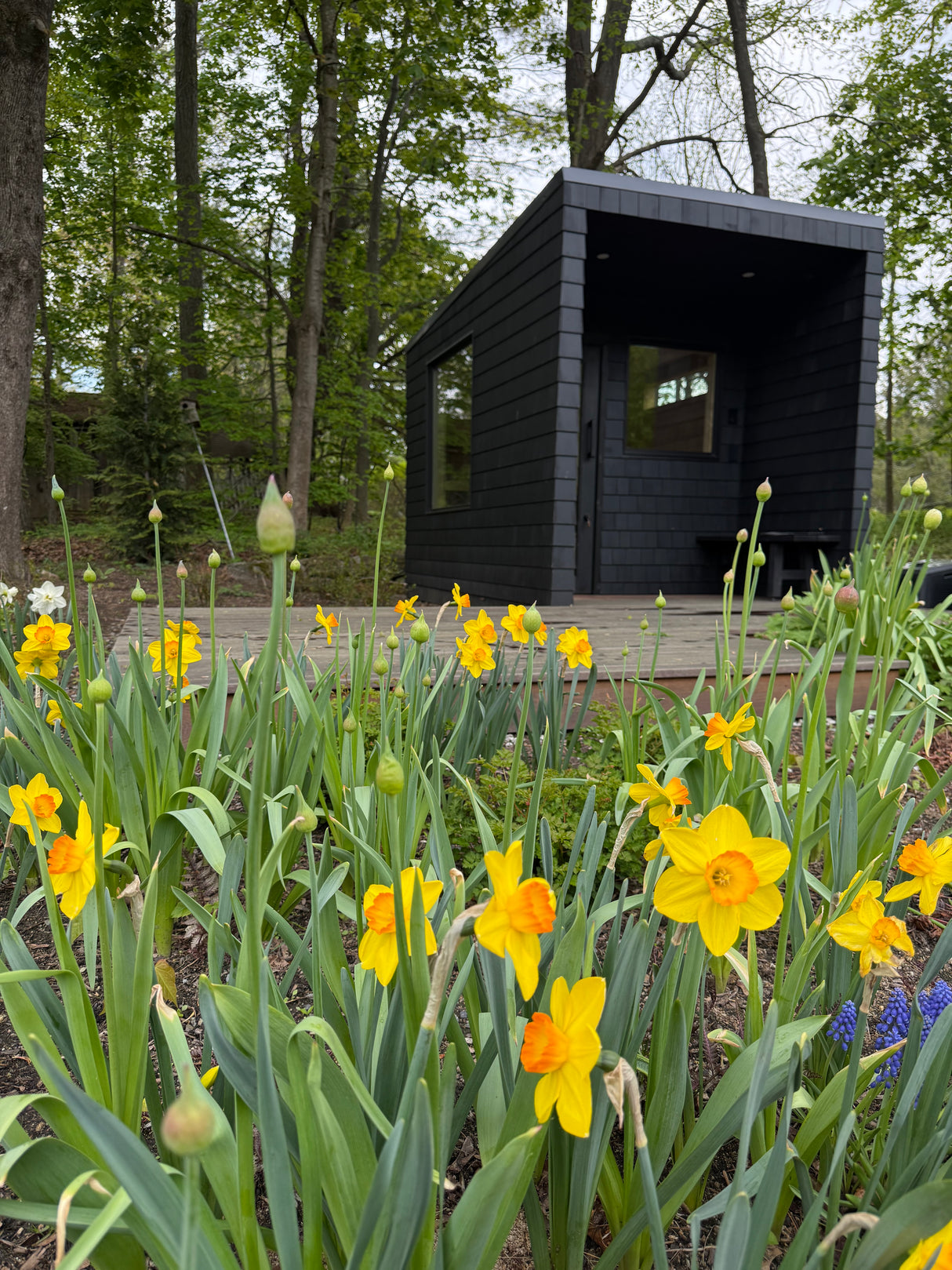 Concord, Massachusetts custom sauna — view 1