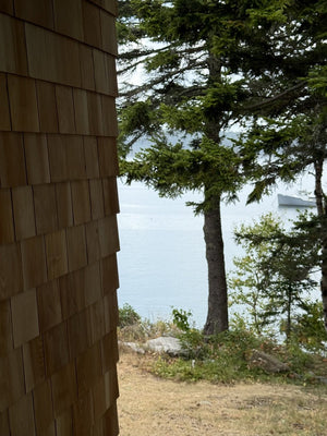 Spruce Head