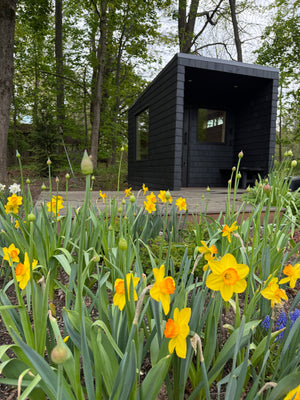 Concord, Massachusetts custom sauna — view 1